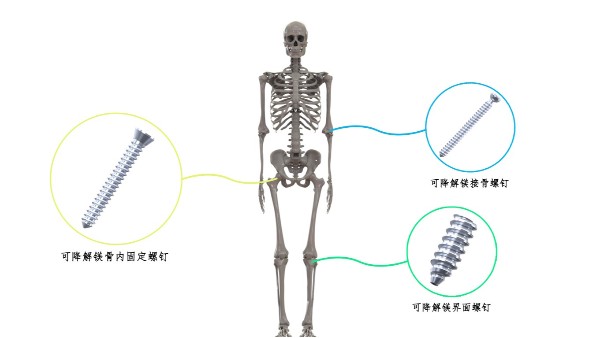 喜訊：宜安科技榮獲2024中華醫學科技獎